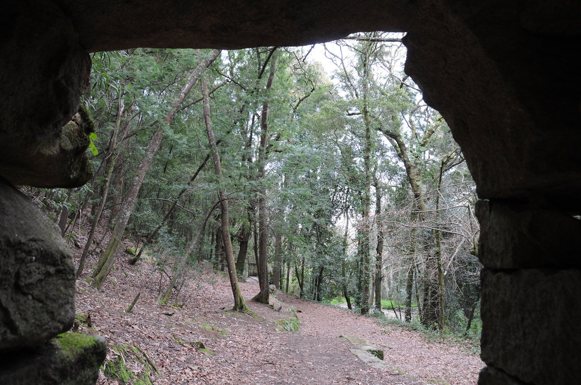 El Bosque Encantado de Aldán, joya natural de O Morrazo Faro de Vigo