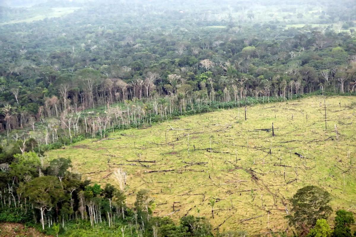 Aspecto general del área deforestada en una zona rural de Colombia.