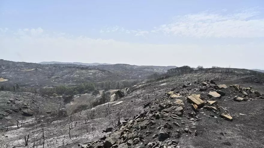 Vídeo | Así ha quedado Asín tras el incendio de Orés: casas afectadas y ganado perdido