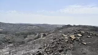 Directo | El incendio de las Cinco Villas afecta ya a 15.400 hectáreas tras el avance del fuego de madrugada "por el viento y la topografía"