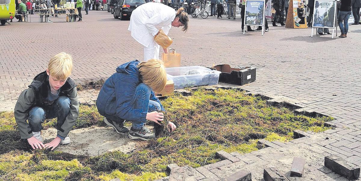 Acció de recuperació del sòl natural en una ciutat europea.