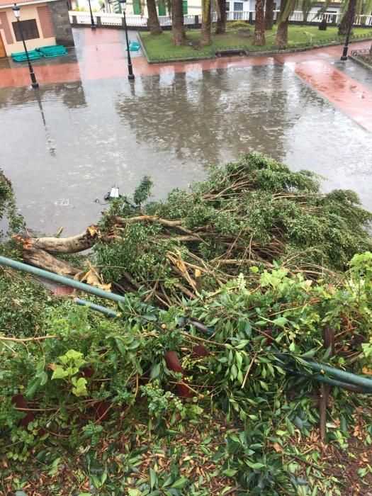 Temporal en Gran Canaria (12/2/2017)