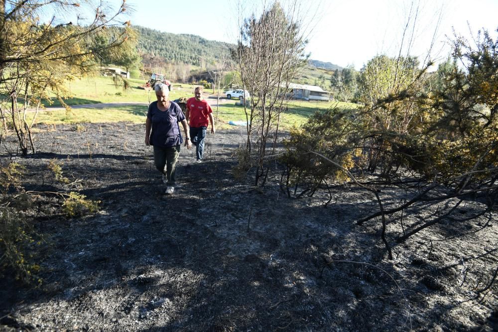 Incendios en Galicia | Afectados por el fuego en Cotobade: "Si arde así en marzo, no sé qué pasará en agosto"