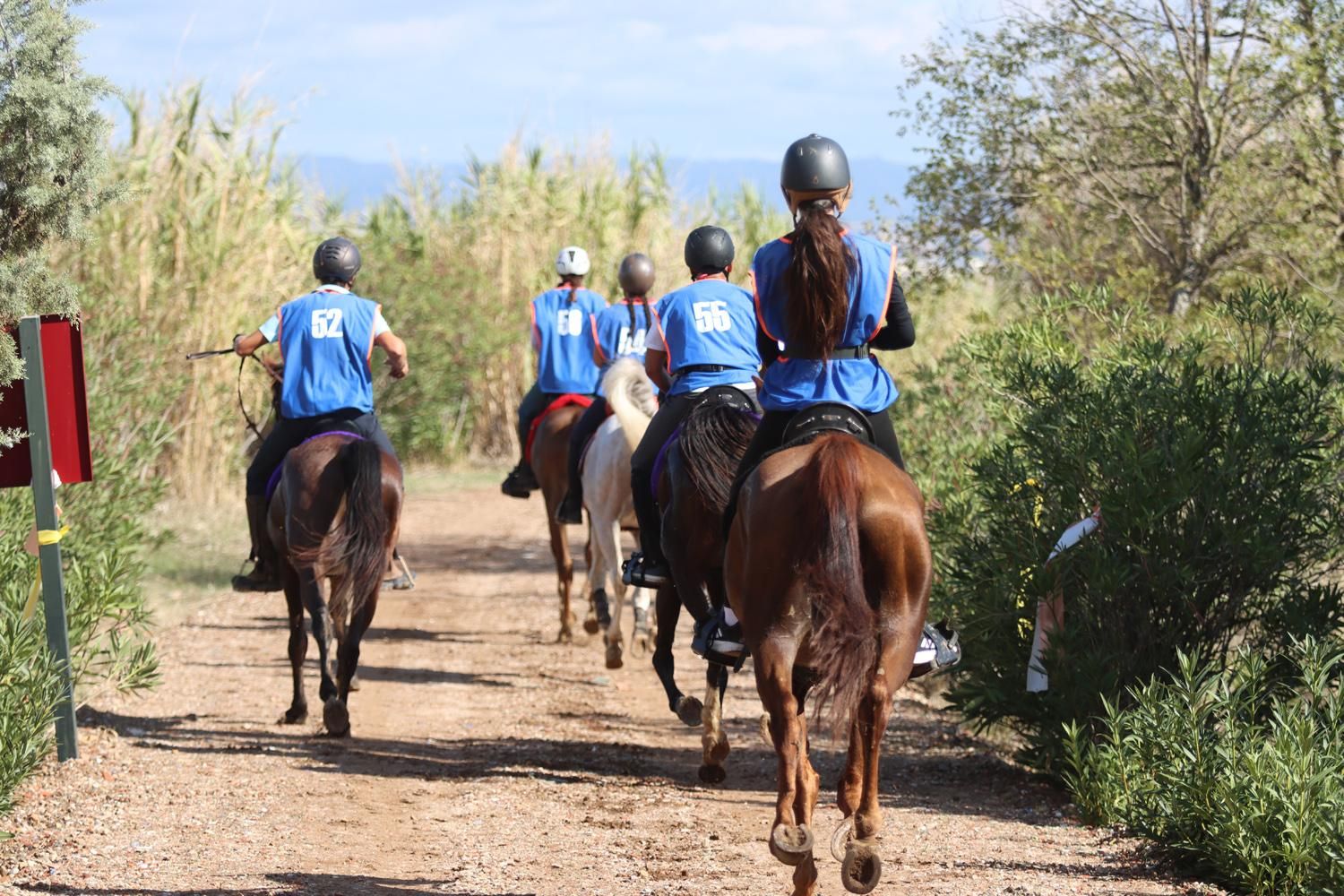 El Raid Hípico El Cañuelo, en imágenes