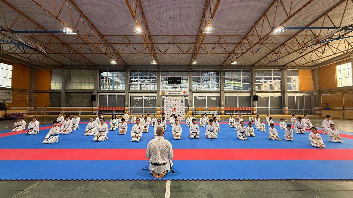 Karate Grado