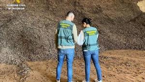 Imagen de la operación para encontrar algarrobas