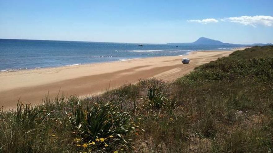 Nuevo intento de Oliva de anular el plan de protección litoral del Consell