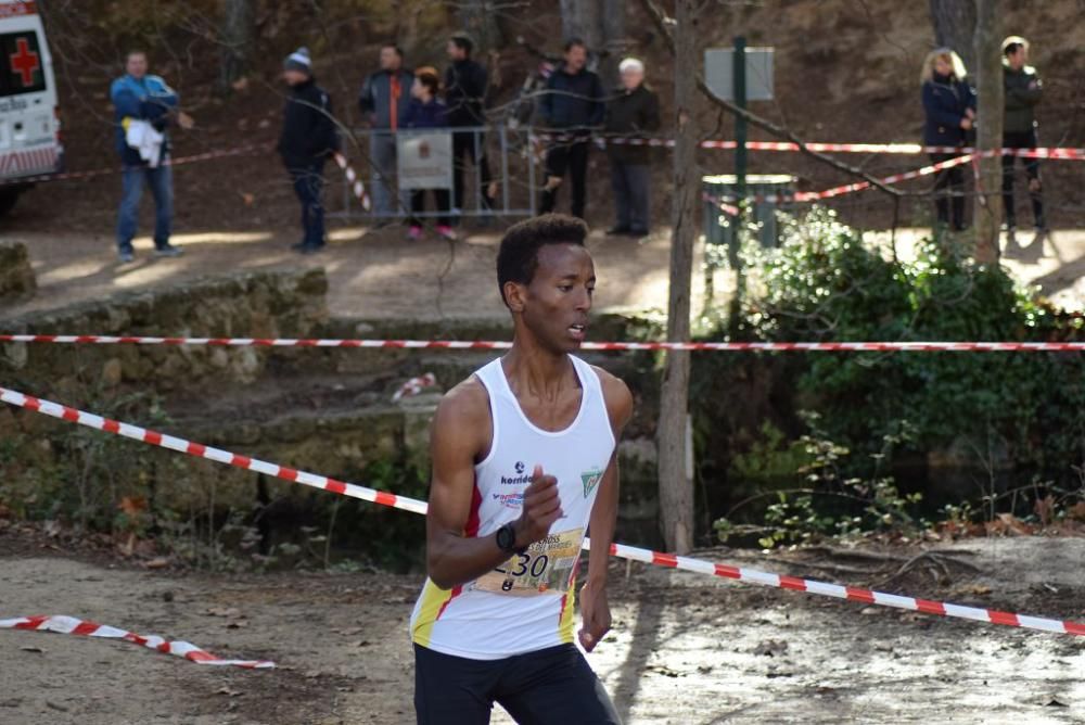 Cross Fuentes del Marqués (IV)