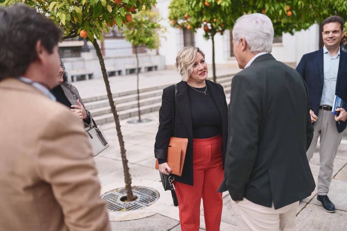 Fotogalería | El pleno de la Asamblea de Extremadura en imágenes