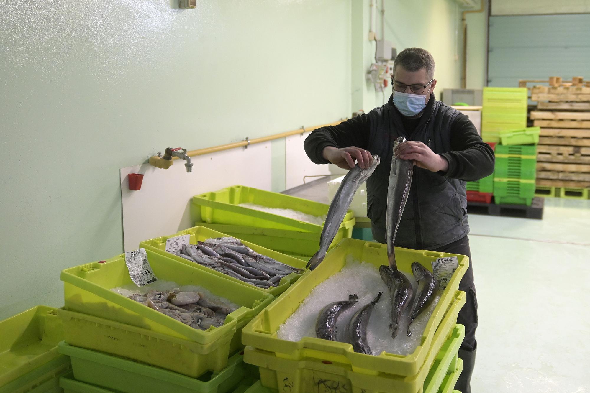Hasta 40 toneladas de pescado se podrían perder en la lonja de A Coruña por la huelga