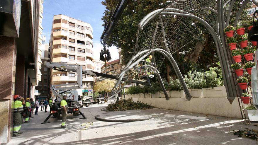 El Ayuntamiento descarta retirar el ficus de Santo Domingo por ser un icono de la ciudad