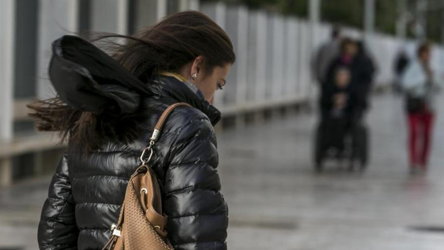 Elche suspende las actividades al aire libre ante la alerta por viento