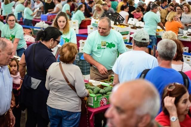 II Feria del Aguacate en Arguineguín