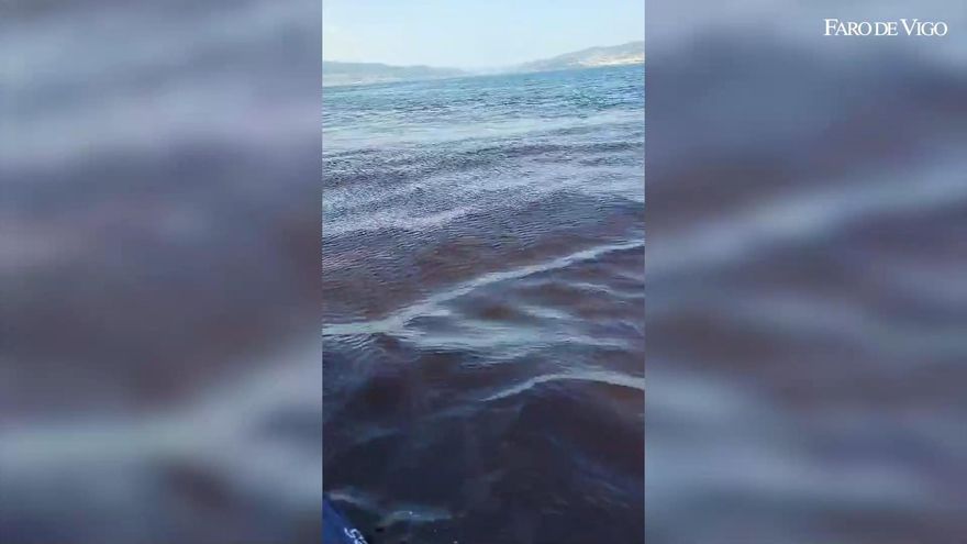 Detenido por atracar un establecimiento y amenazar a un trabajador en Torrevieja