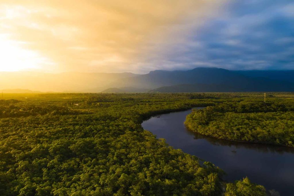 Vista aérea del Amazonas y la selva brasileña