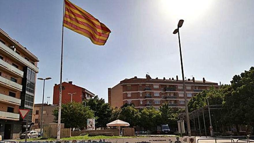 Els dos xiprers de la plaça Catalunya ja són història