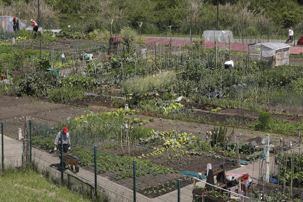 Vista general de los huertos urbanos de La Corredoria.