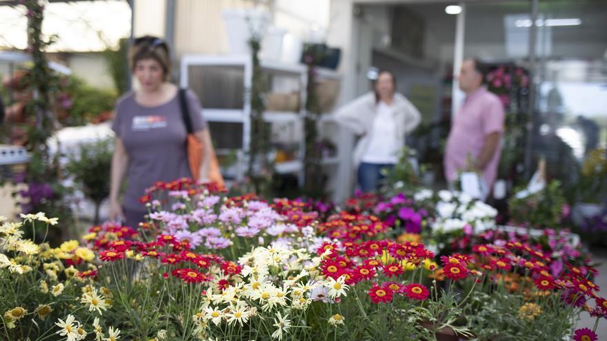 Vivers Garden Sant Pere, l’empresa familiar de confiança per al vostre jardí, pati i terrassa