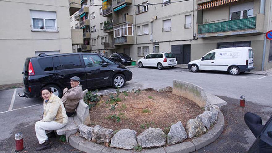 Montilivi. Talen el pi de la plaça de la Punta del Pi