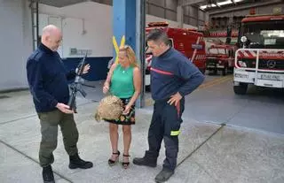 Armas químicas contra la velutina
