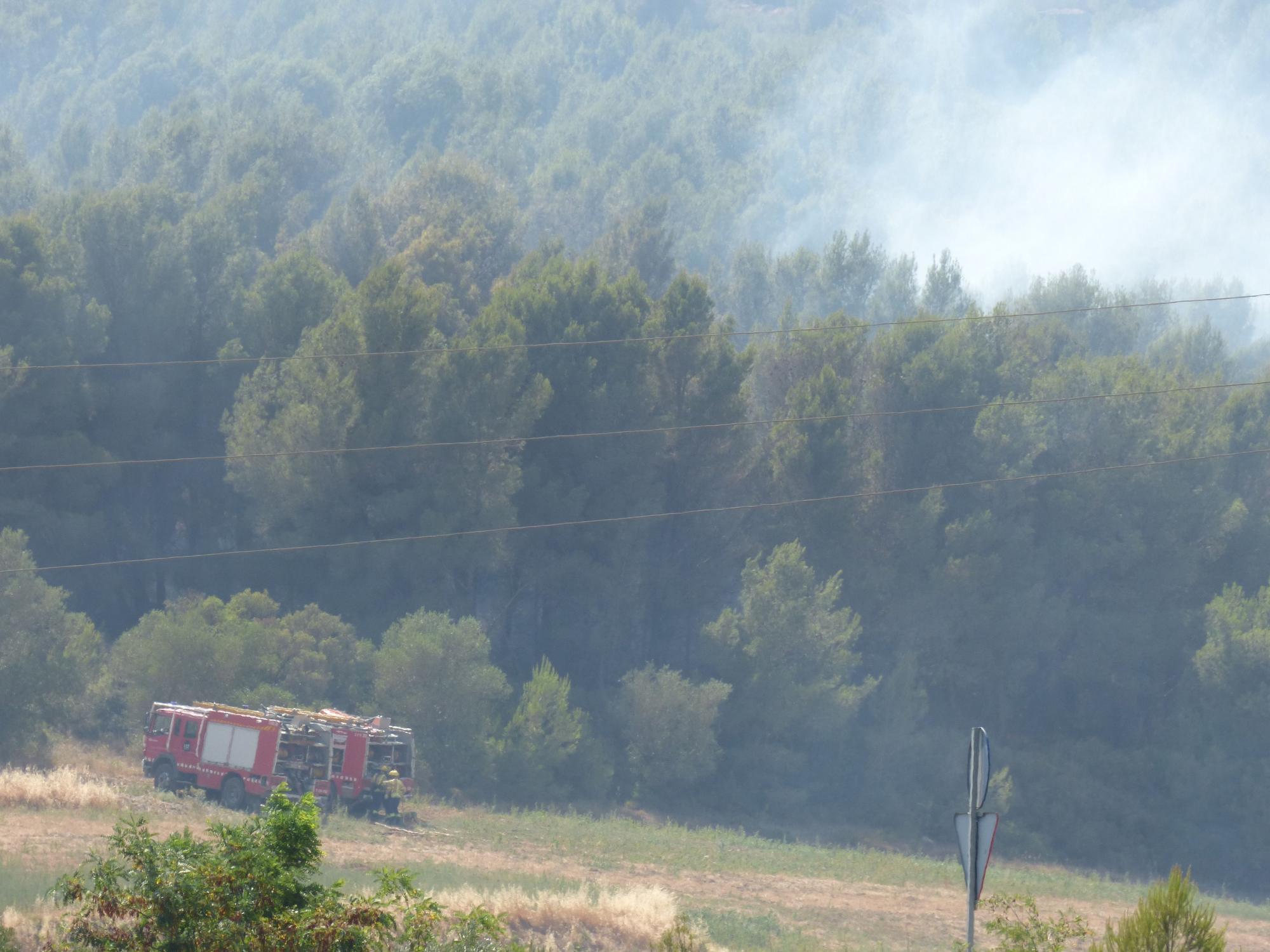 Un incendi ha cremat 3,5 hectàrees al costat de l'Ap7 a Vilafant