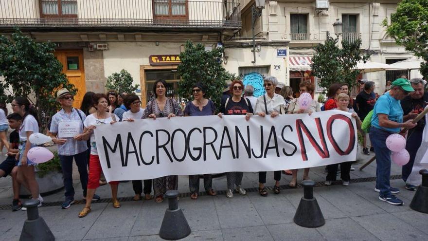 Concentración ante el Palau de la Generalitat contra la macrogranja de cerdos de Ayora.