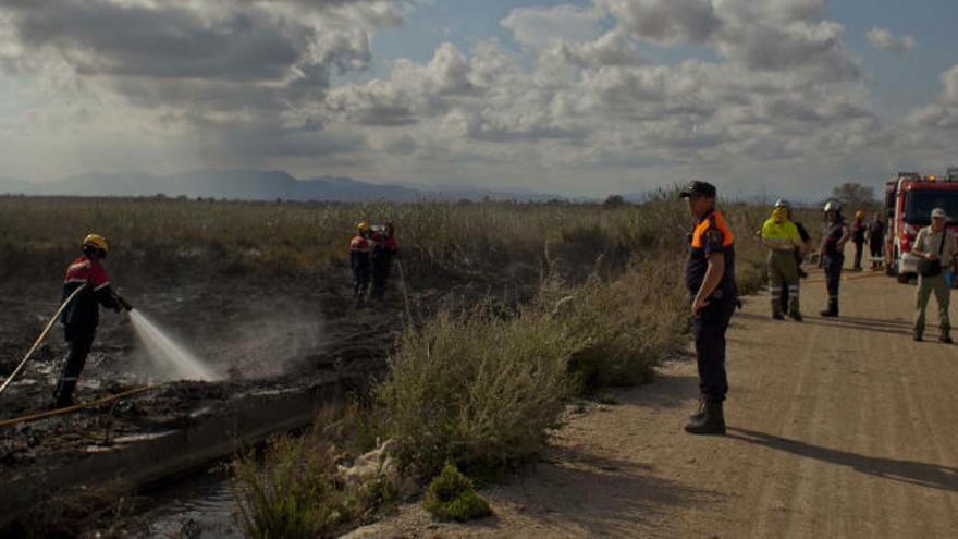 Bomberos y servicios de emergencia trabajan en la extinción