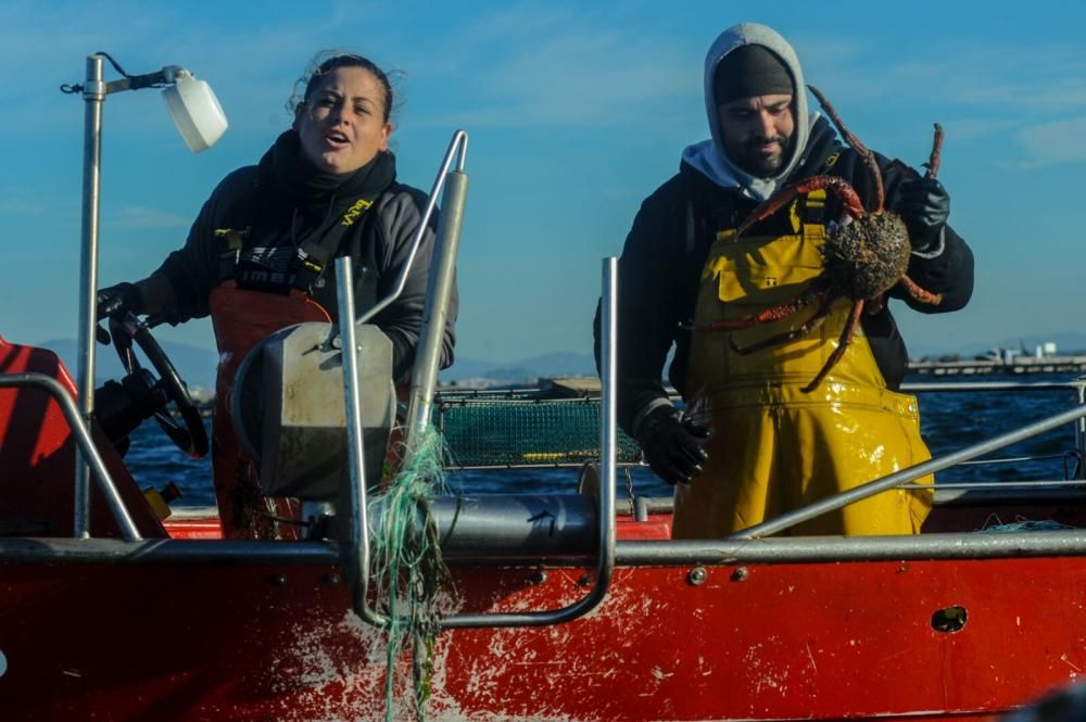 Campaña del centollo en Arousa