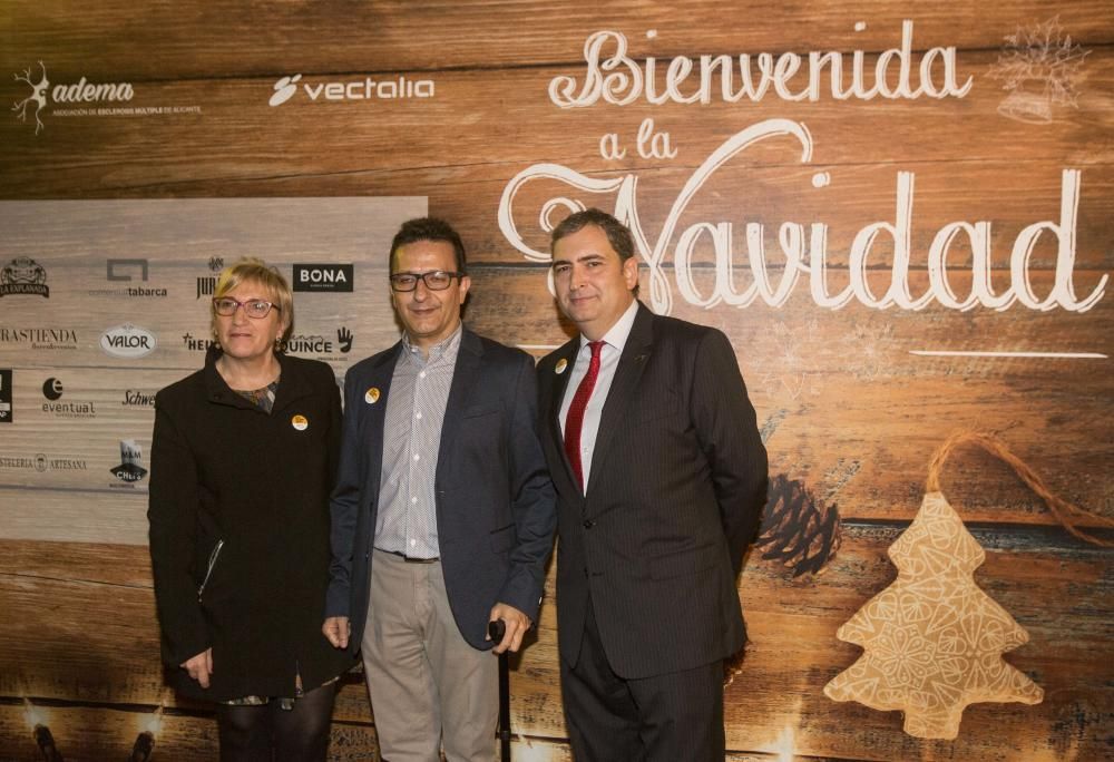 Vectalia celebra su cóctel solidario de Navidad