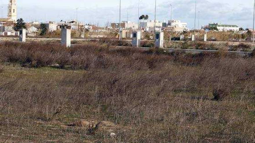 Pese a la alta demanda de suelo industrial y la existencia de un polígono, el dels Olivarons (Sollana), a tan solo 5 minutos de Ford, los proveedores de la firma automovilística no se muestran interesados en esta zona porque «está demasiado lejos» y «no se adapta a los estándares» de la multinacional para que las piezas lleguen en un breve espacio de tiempo a cadena, afirma Tomás Belda. «Les interesa el Romaní porque les pilla a minuto y medio. Si no es ahí, ya les da igual», concluye el edil.
