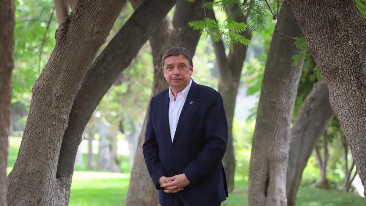Luis Planas, ministro de Agricultura y candidato número uno del PSOE de Córdoba al Congreso.