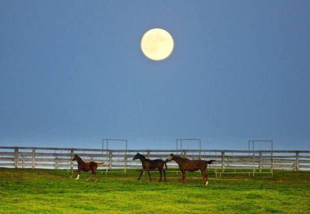 La tercera superluna llena del verano, en imágenes