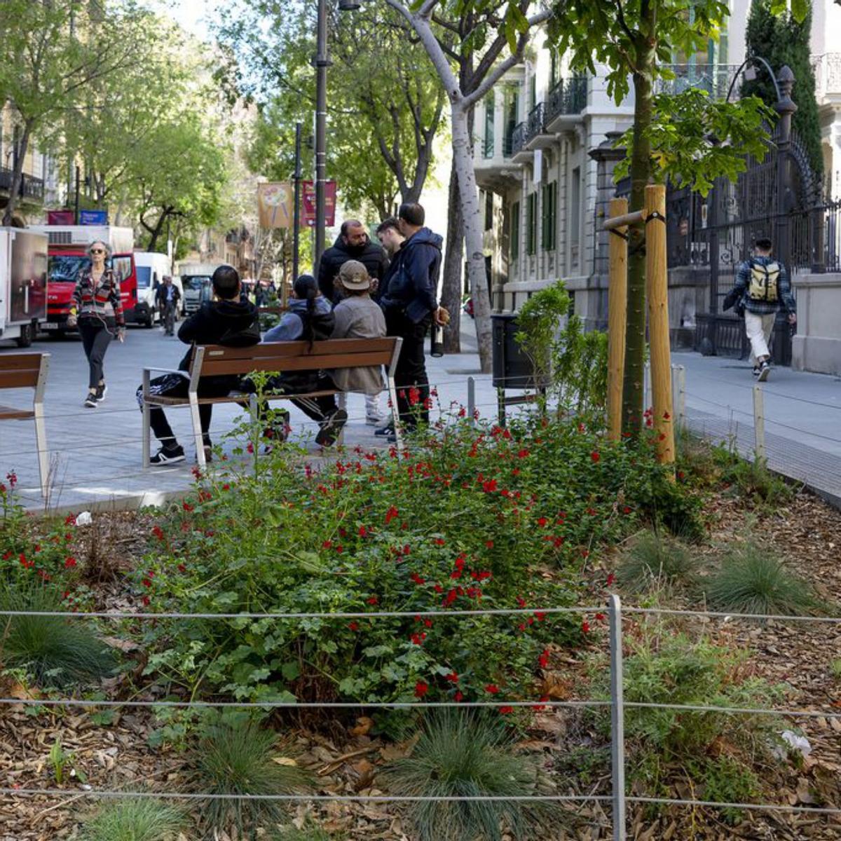 Aconseguir ciutats verdes no és una utopia