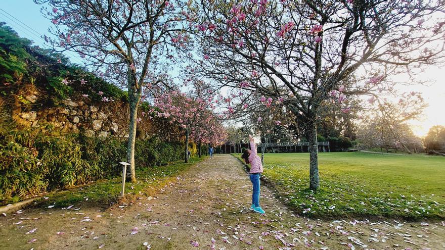 Castrelos se disfraza de primavera