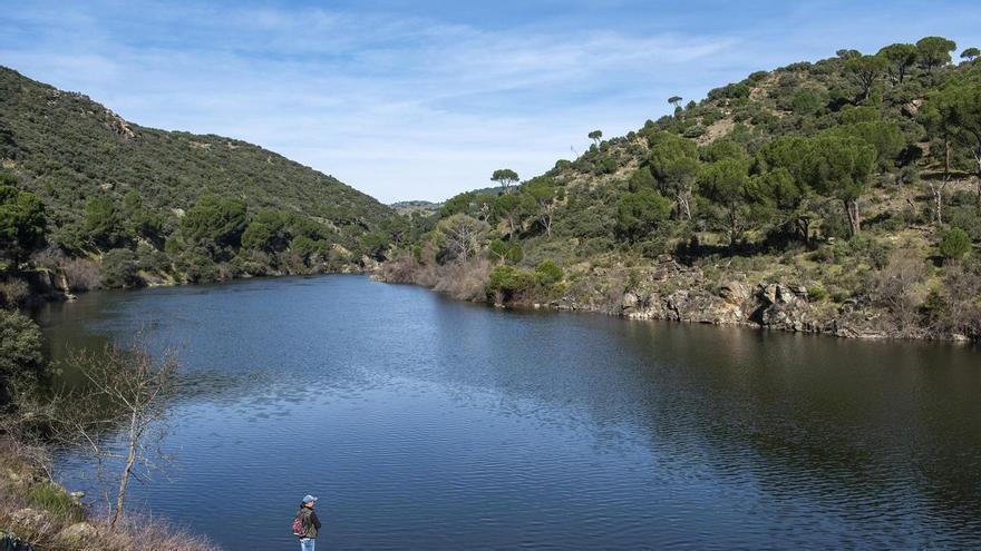 Este es el estado de las reservas de los pantanos de la cuenca del Segura