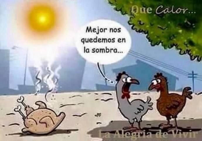 Los mejores memes del calor y la calima (octubre de 2017)