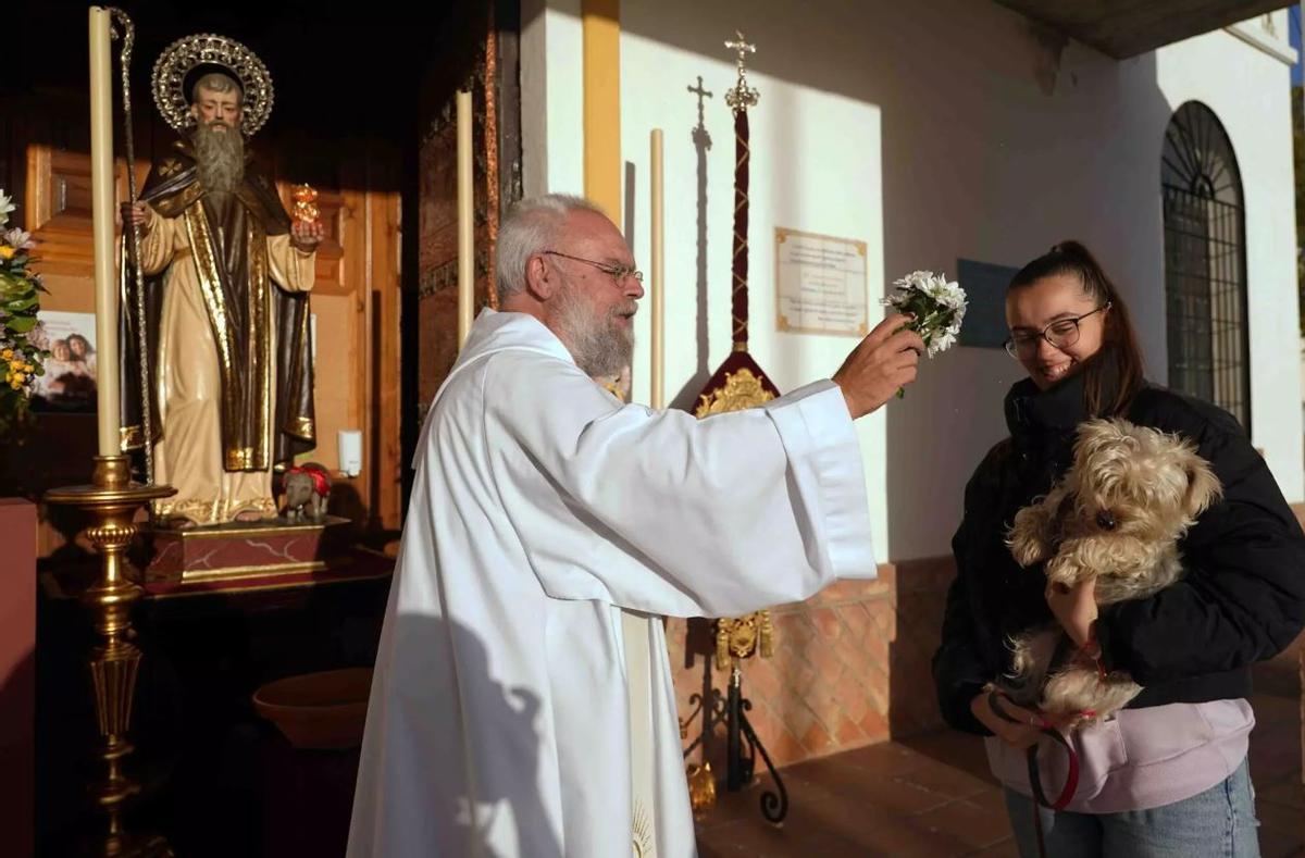 San Antón y su bendición de animales se ha celebrado en toda la provincia de Málaga.