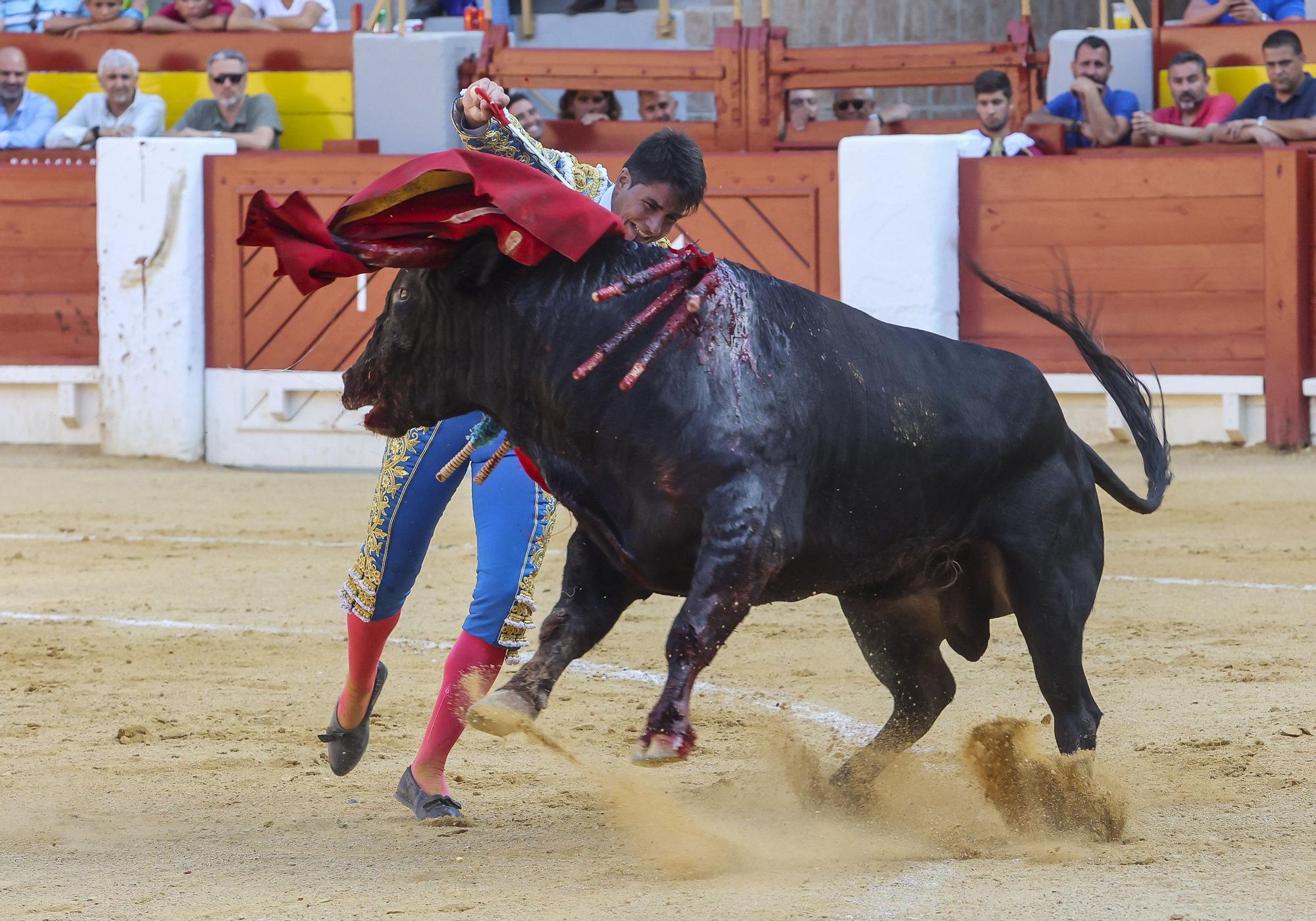 Novillada de Zacarías Moreno para cerrar la Feria de Hogueras