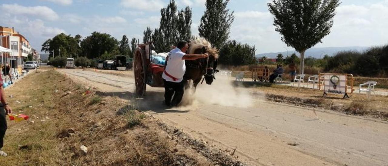 Un dúo de participantes, carretero y caballo, durante el concurso de tiro y arrastre celebrado recientemente en Montserrat. | LEVANTE-EMV