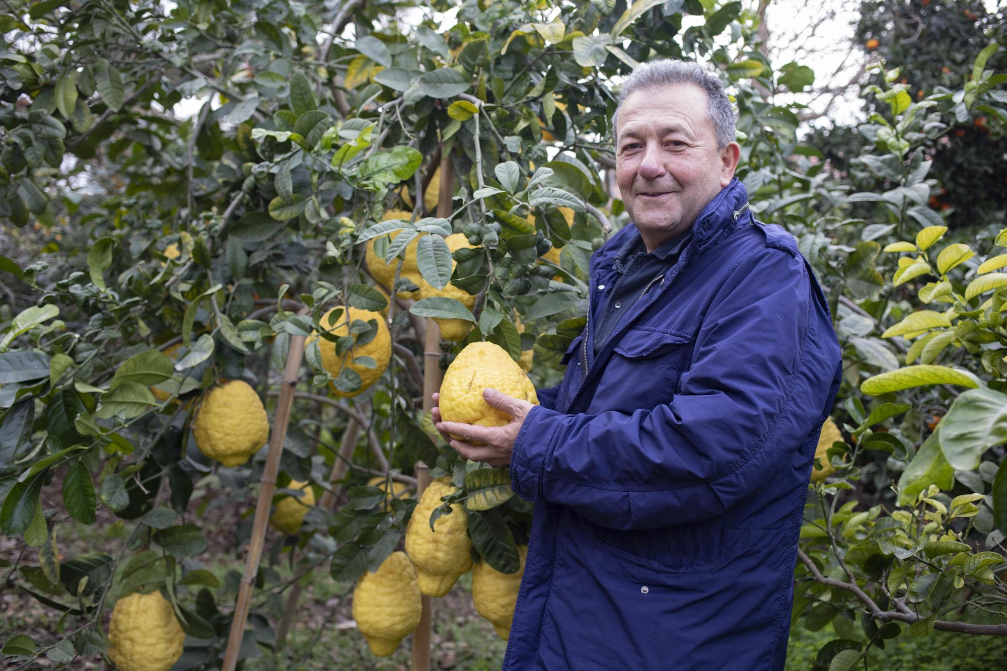 Vicente Todolí en el jardín de las delicias