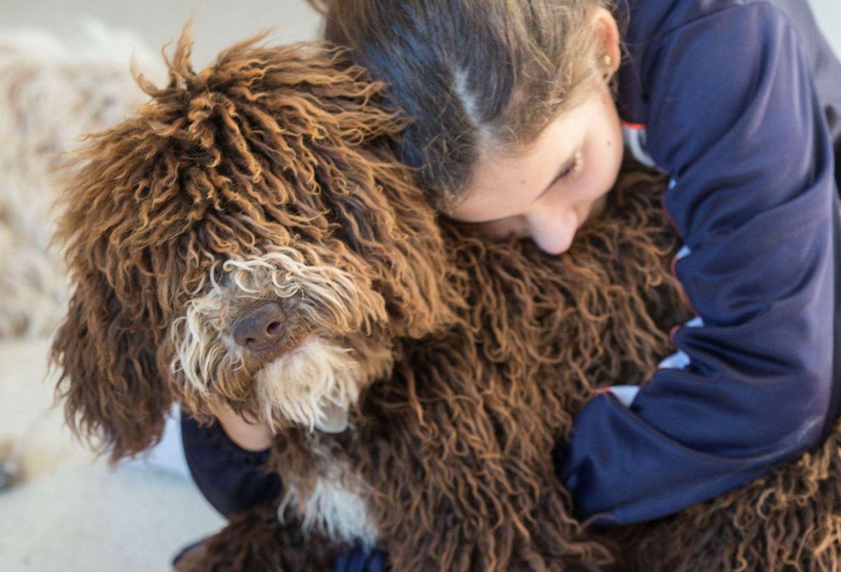 Superar el dol per un animal de companyia Superar el dol per un animal de companyia