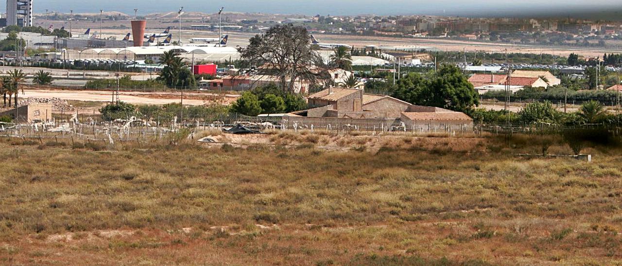 Una parcela de Torrellano, pedanía donde hay parcelas municipales para subastar.