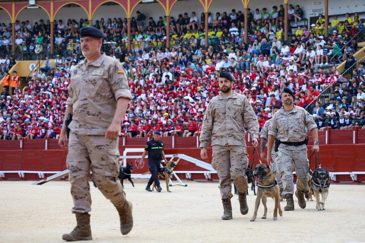 Guías caninos militares junto con los perros, entrando en la plaza