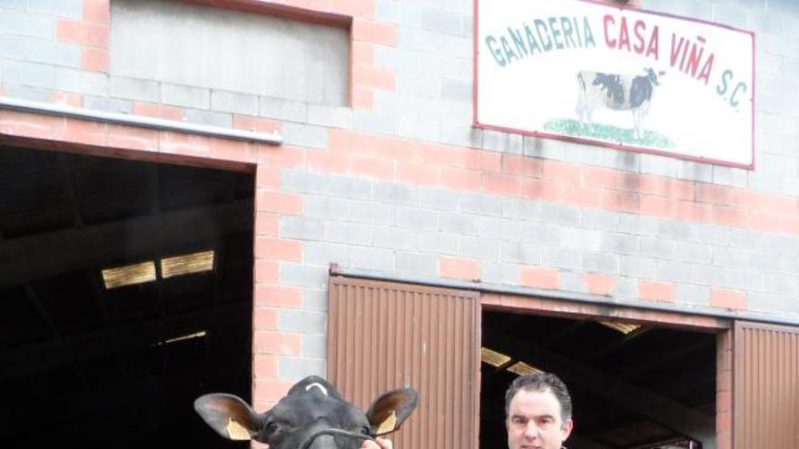 Faustino Rodríguez, con la vaca ganadora del certamen italiano.