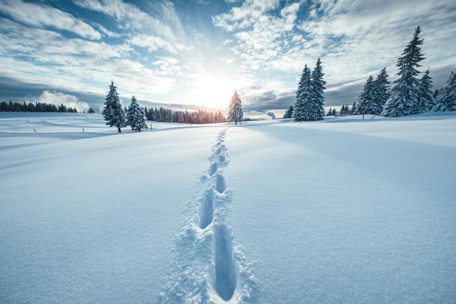 Paisaje nevado, nieve, concurso paradores