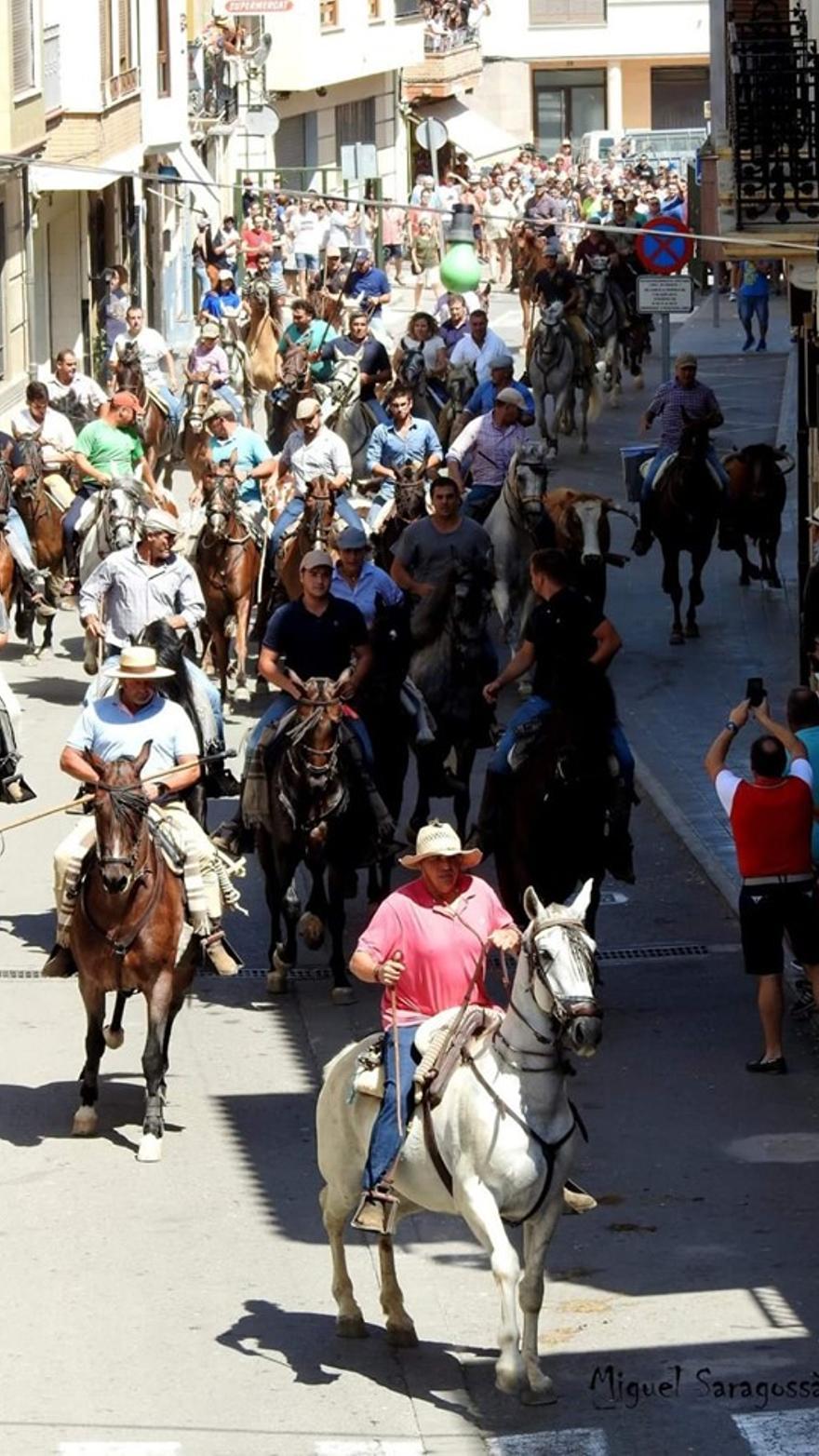 Los actos taurinos volverán a congregar a cientos de aficionados al ‘bou’.