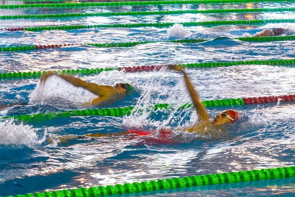 Trofeo Ciudad de Zaragoza de natación