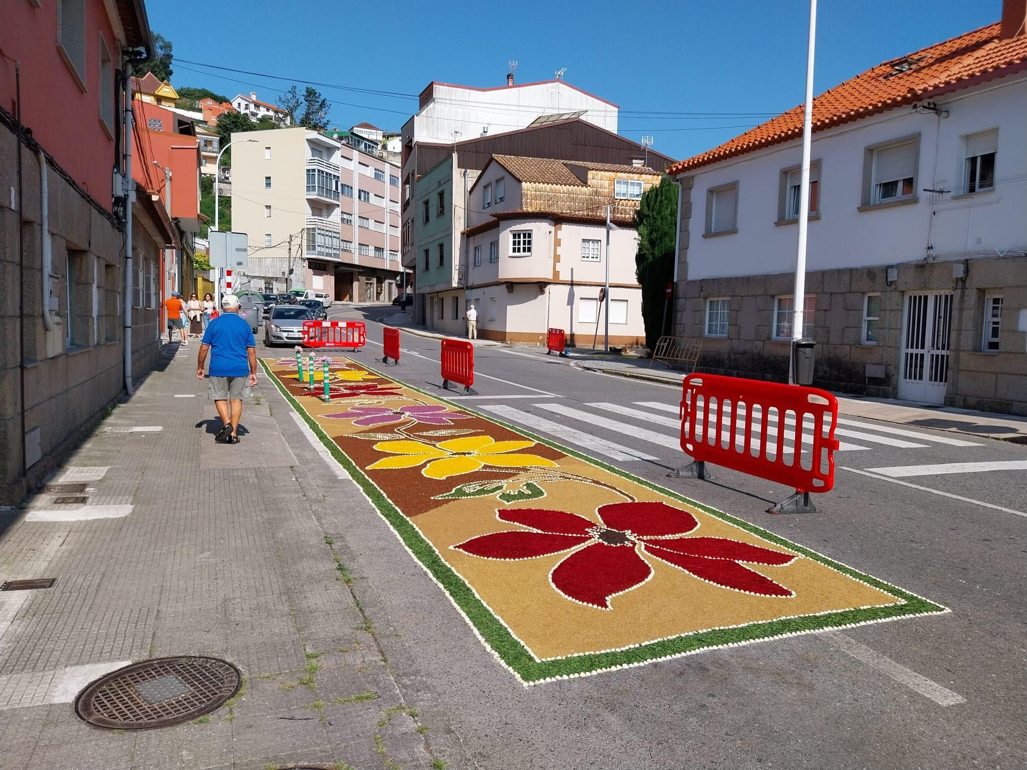 La fiesta de las alfombras florales del Corpus en Bueu (II)