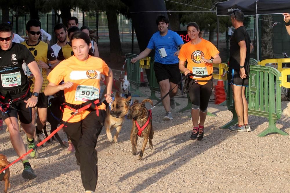 I Cross Canina de Santa Ana