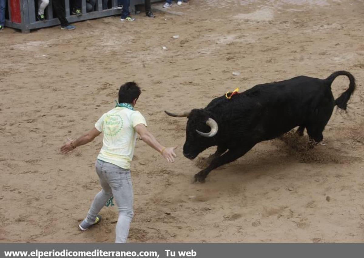 Bou per la vila en Vila-real